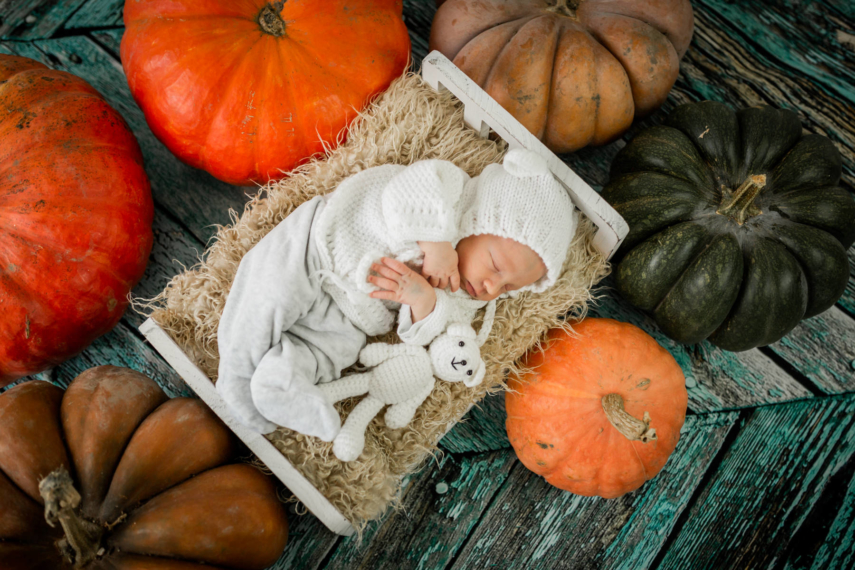 Bébé dans les citrouilles