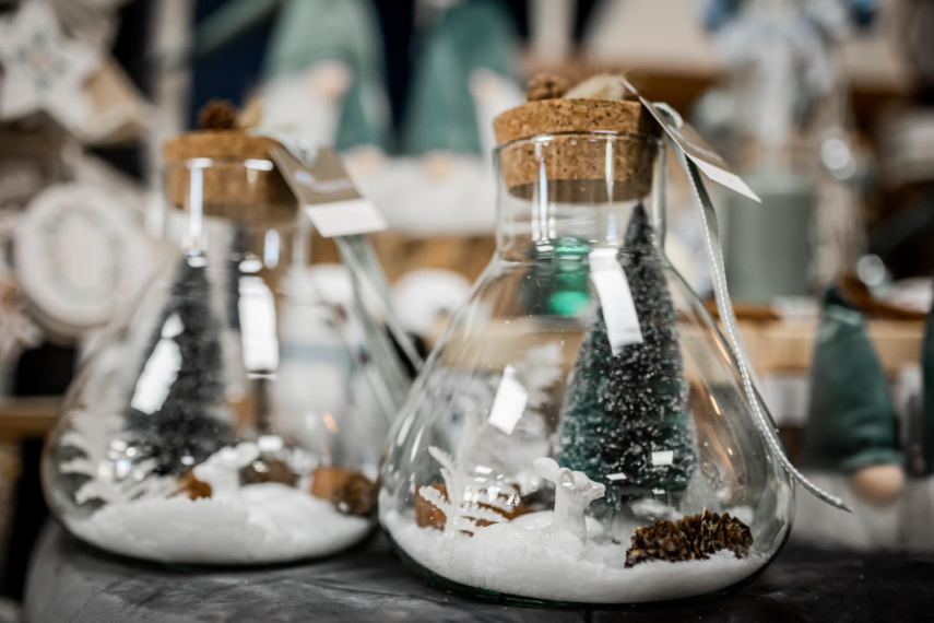 Hiver 2020 Chez L'Agapanthe
