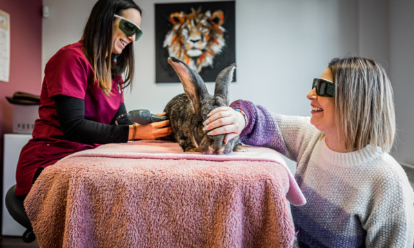 cabinet-veterinaire-physioveto-elsa-llerena-babouchkatelier- (25)