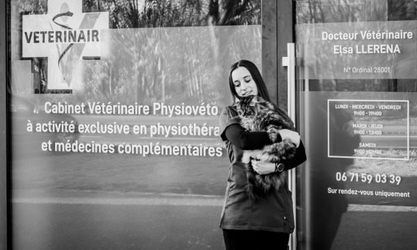 cabinet-veterinaire-physioveto-elsa-llerena-babouchkatelier- (67)