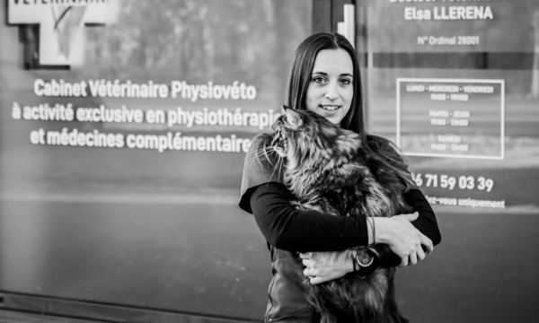 cabinet-veterinaire-physioveto-elsa-llerena-babouchkatelier- (69)