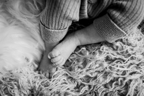 Babylove - Mini-chaton d'amour